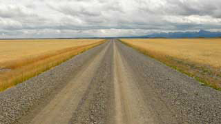 Horizon view on a dirt road