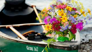 Flowers on a canoe