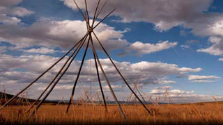 The poles set up for a teepee