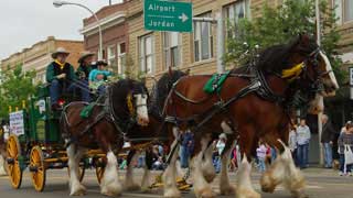 Miles City Bucking Horse Sale Parade