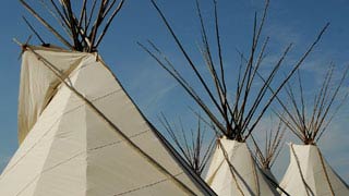 Crow Fair Teepee Camp