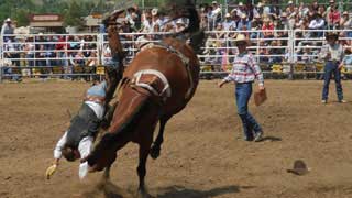 Miles City Bucking Horse Sale